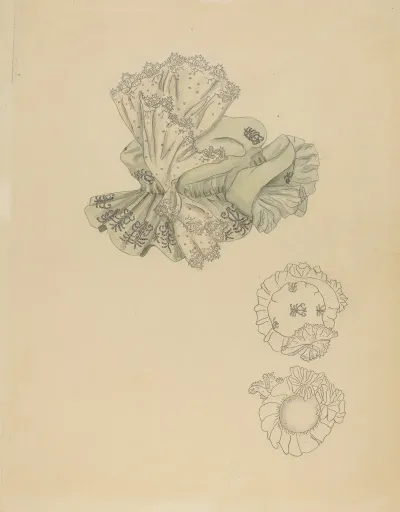 Hat 13