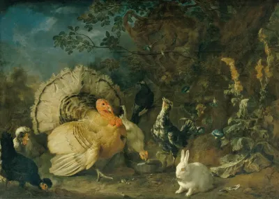 Hausgeflugel Und Kaninchen