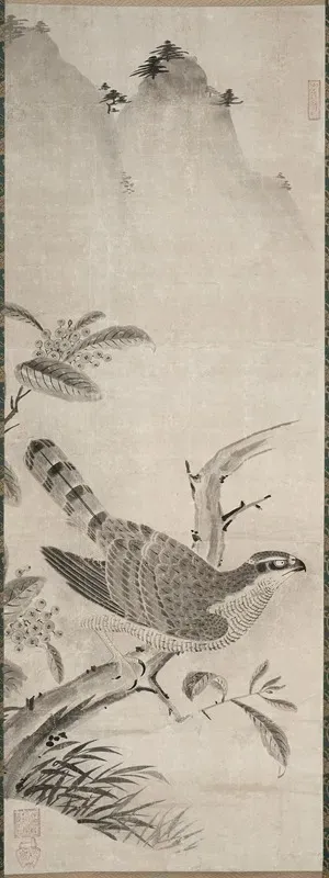 Hawk 2