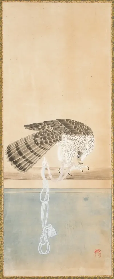 Hawk 3