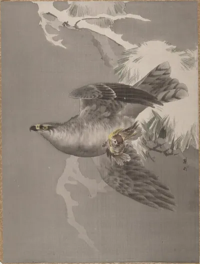 Hawk Holding A Small Bird