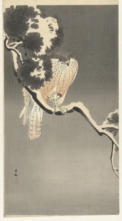 Hawk With Sparrow