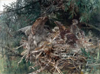 Hawks Nest