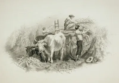 Haying Scene 2