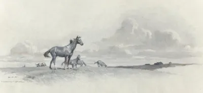 He Roamed The Open Range