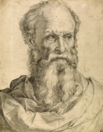 Head And Shoulders Of A Bearded Man