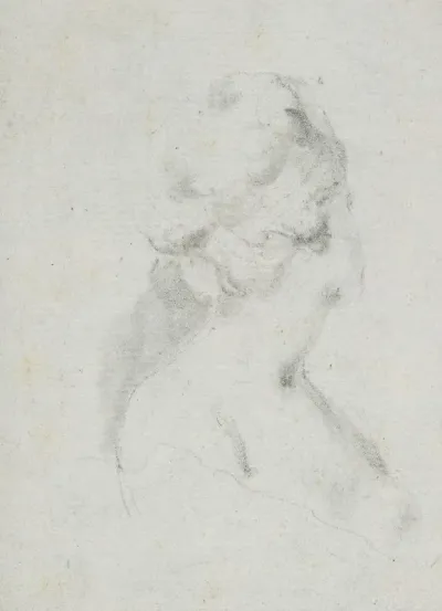 Head And Shoulders Of A Woman