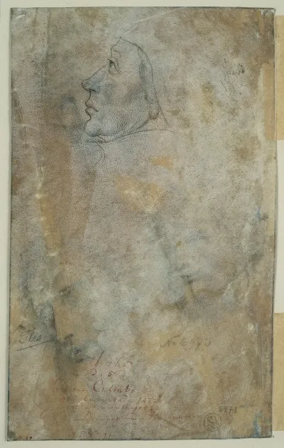 Head In Profile 2