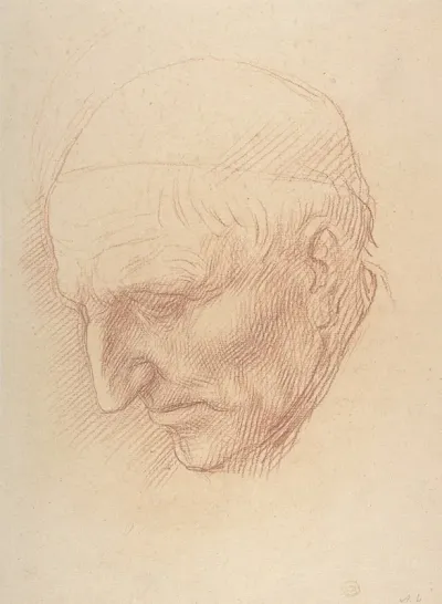Head Of A Beadle