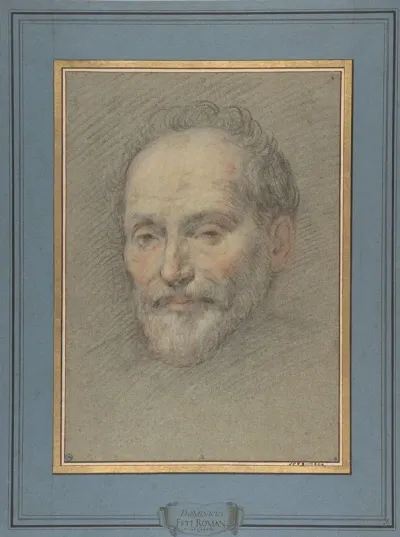 Head Of A Bearded Man 10