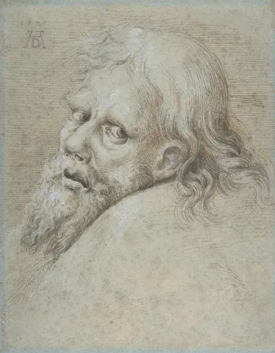 Head Of A Bearded Man 13