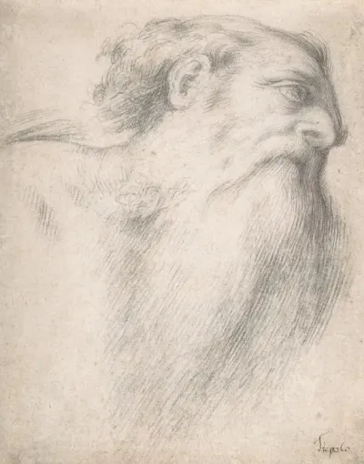 Head Of A Bearded Man 15