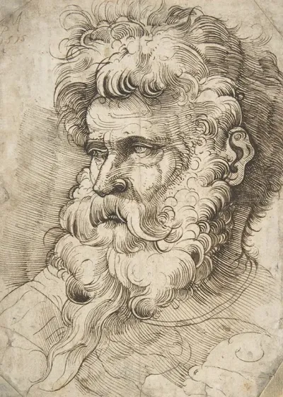 Head Of A Bearded Man 16