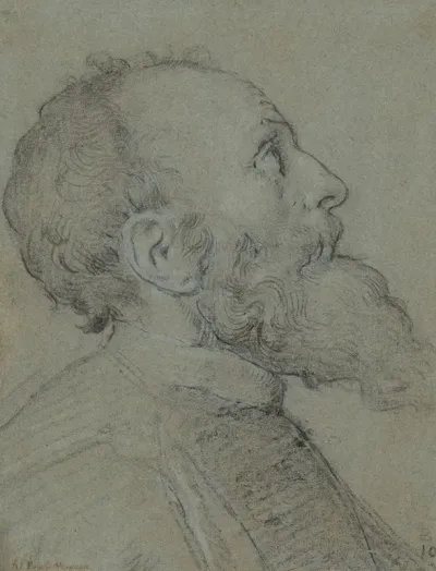 Head Of A Bearded Man 20