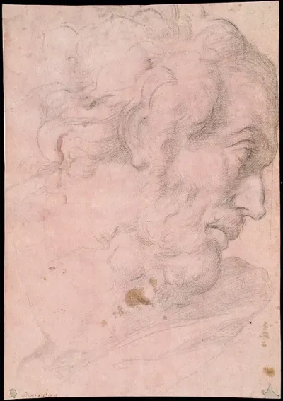 Head Of A Bearded Man 22