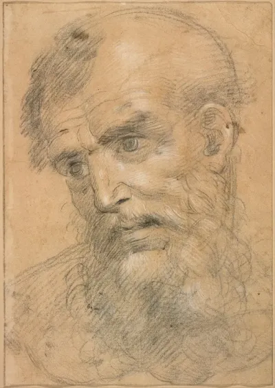 Head Of A Bearded Man 24