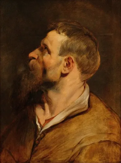 Head Of A Bearded Man 25