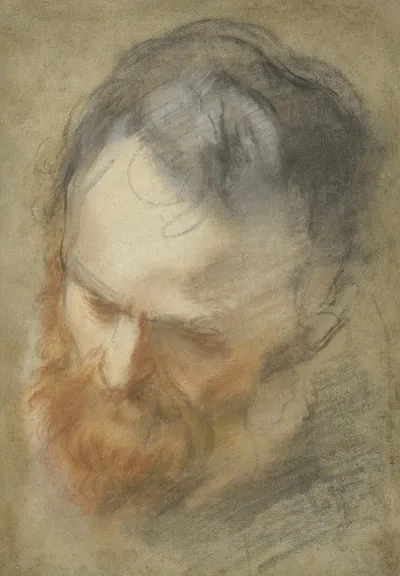 Head Of A Bearded Man 4