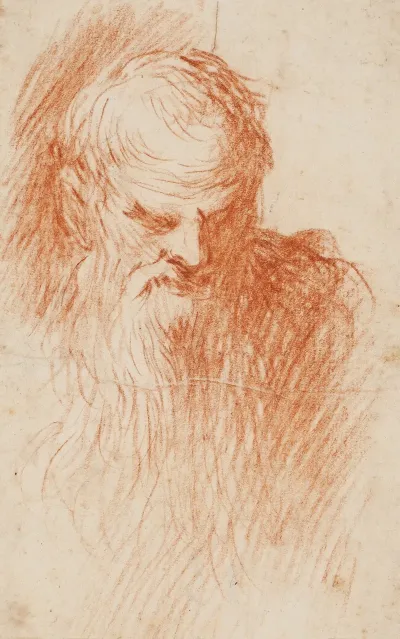 Head Of A Bearded Man 5