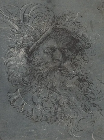 Head Of A Bearded Man 6