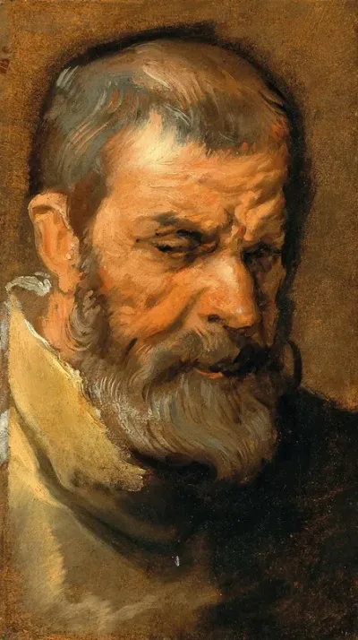 Head Of A Bearded Man 7