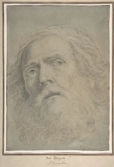 Head Of A Bearded Man 8