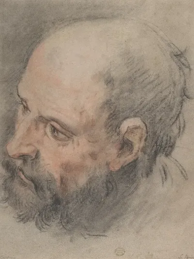 Head Of A Bearded Man Looking Left
