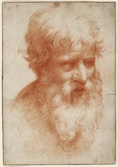 Head Of A Bearded Man Looking Right 2