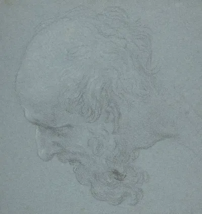 Head Of A Bearded Man Looking To Upper Left