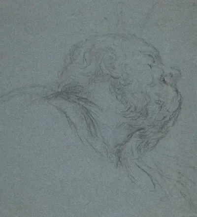 Head Of A Bearded Man Looking To Upper Right