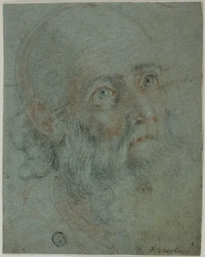 Head Of A Bearded Man Looking Up To Right Study For Saint Catherine Of Alexandria Disputing With The Pagan Priests