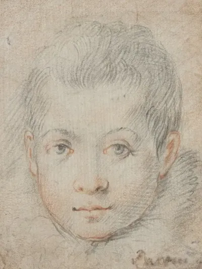 Head Of A Boy 14