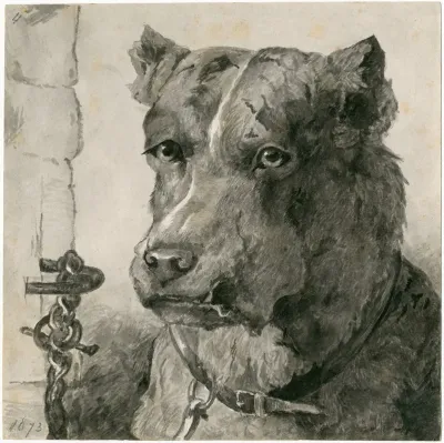Head Of A Chained Dog