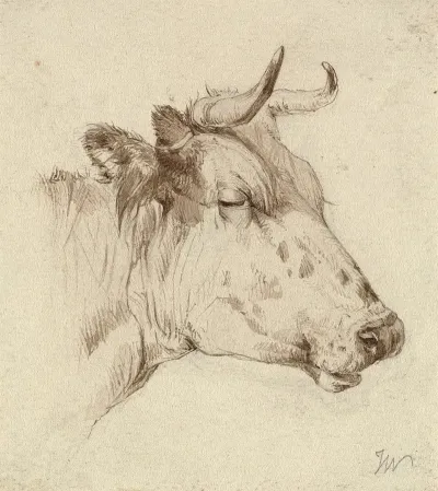 Head Of A Cow 2