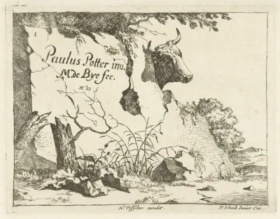 Head Of A Cow Behind A Rock