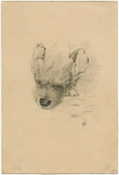 Head Of A Dog 3