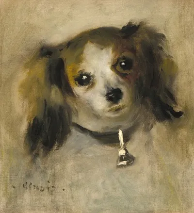 Head Of A Dog 5