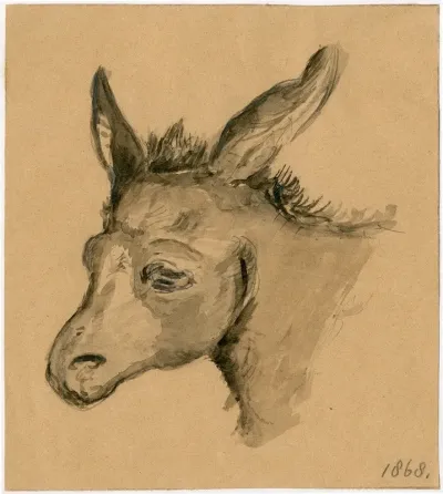 Head Of A Donkey 2