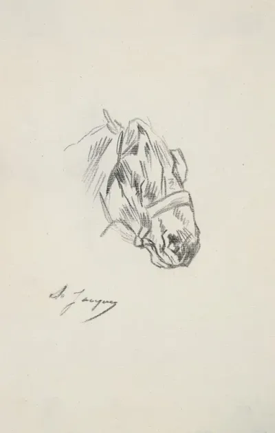Head Of A Horse 2