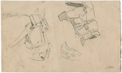 Head Of A Horse 4
