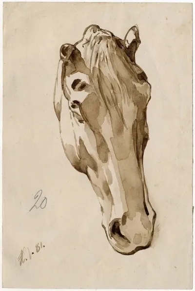 Head Of A Horse 5
