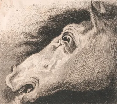 Head Of A Horse 6
