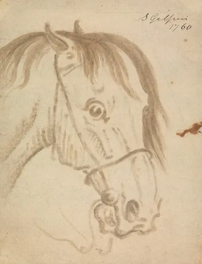 Head Of A Horse 7