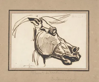 Head Of A Horse After The Parthenon