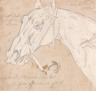 Head Of A Horse Facing Left