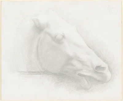 Head Of A Horse From The Parthenon