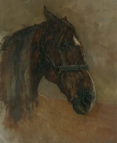 Head Of A Horse With Halter