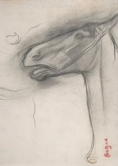 Head Of A Horse