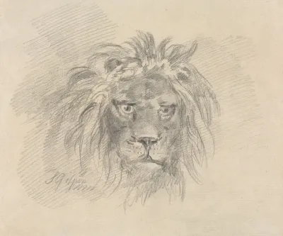 Head Of A Lion 3