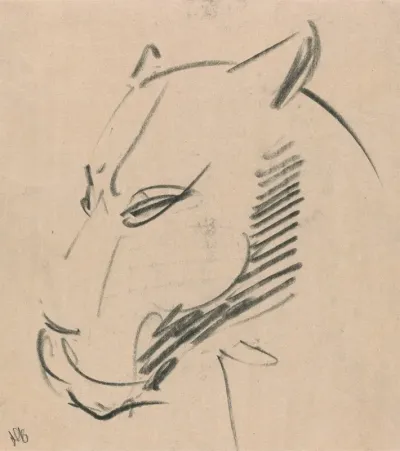 Head Of A Lioness 2